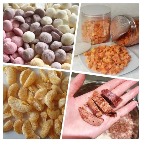 freeze dried food