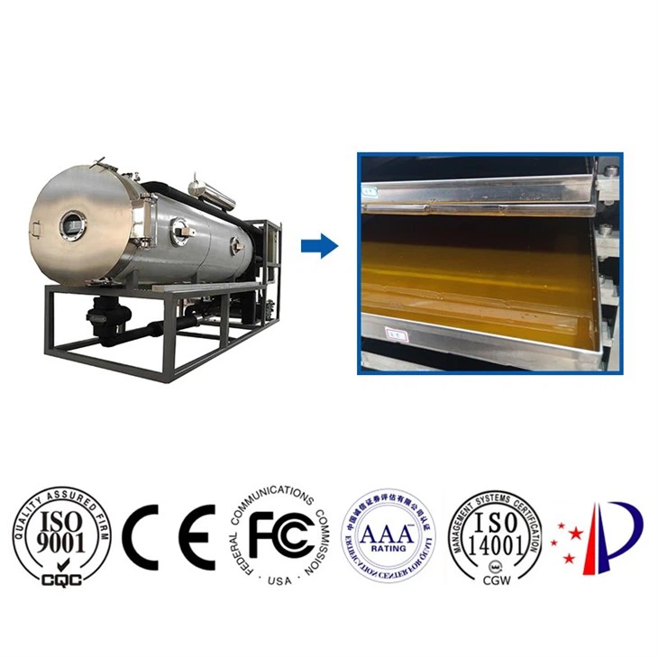 Affordable Industrial Vacuum Freeze Dryer