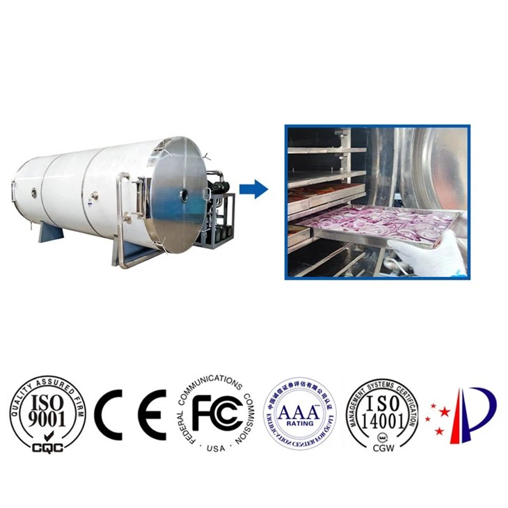 Food Make Vacuum Chamber Liofilizador
